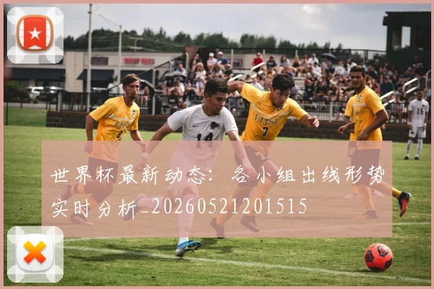 世界杯最新动态：各小组出线形势实时分析_20260521201515