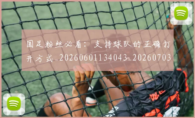 国足粉丝必看：支持球队的正确打开方式_20260601134043_20260703224349